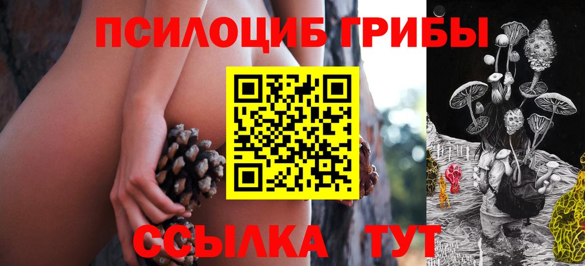 Галлюциногенные грибы MAGIC MUSHROOMS  Вход с VPN  Сердобск 